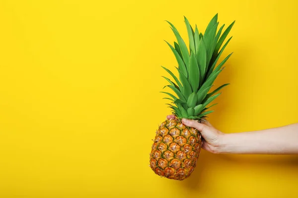 El tutma olgun ananas — Stok fotoğraf