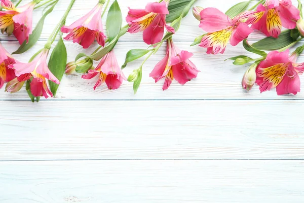 Flores de alstroemeria rosa — Foto de Stock