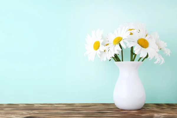 白いカモミールの花 — ストック写真