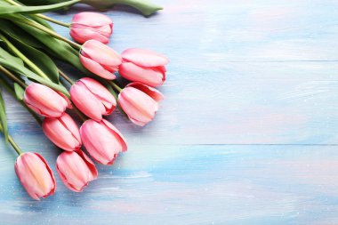 İhale bahar laleler