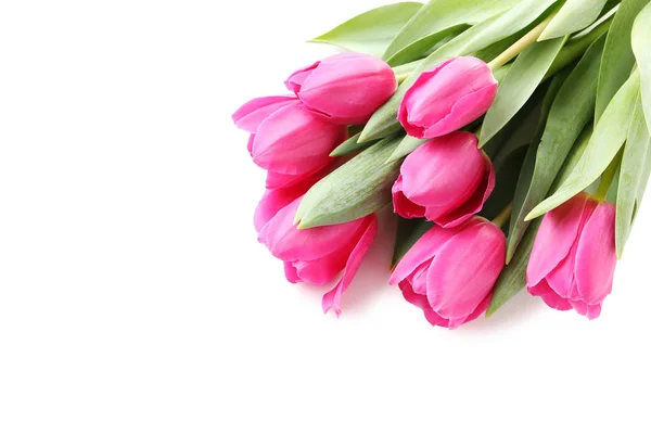 Tender spring tulips — Stock Photo, Image