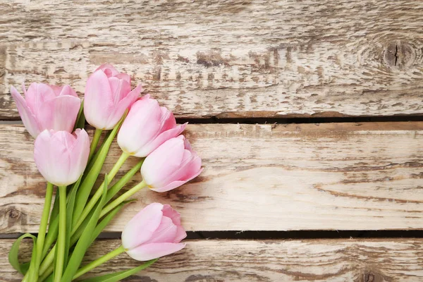 Нежные весенние тюльпаны — стоковое фото