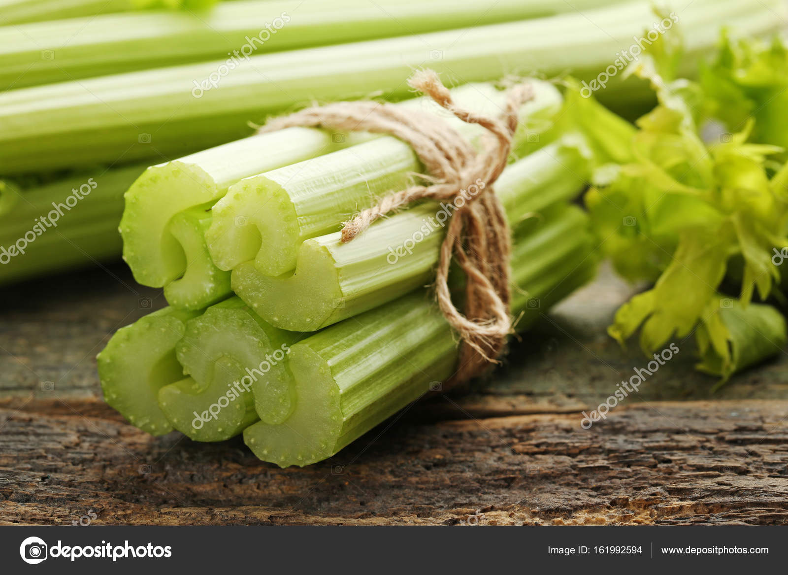 kereviz sapi ingilizce