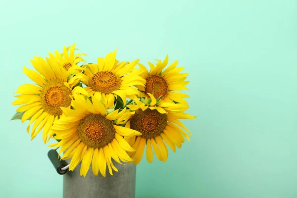 Girasoles amarillos en flor —  Fotos de Stock