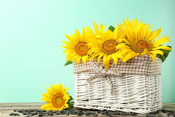 Gelb blühende Sonnenblumen — Stockfoto