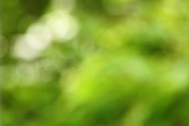 Yeşil doğa bokeh 