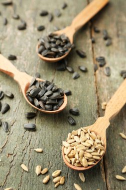 Kaşık Ayçiçeği tohumları 