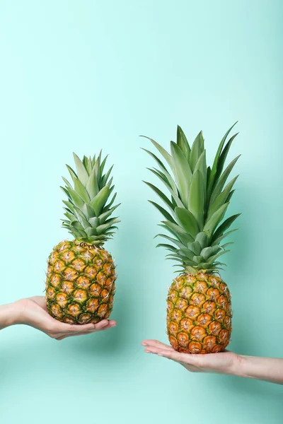 Female hands holding ripe pineapples