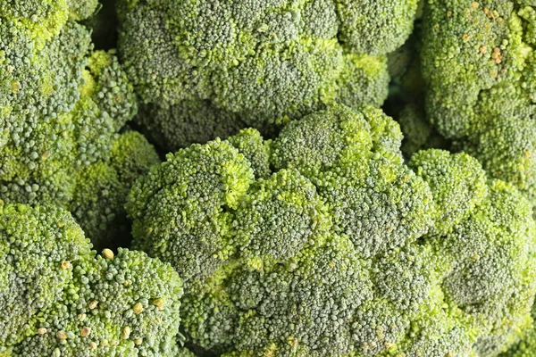 Świeże brokuły surowe — Zdjęcie stockowe