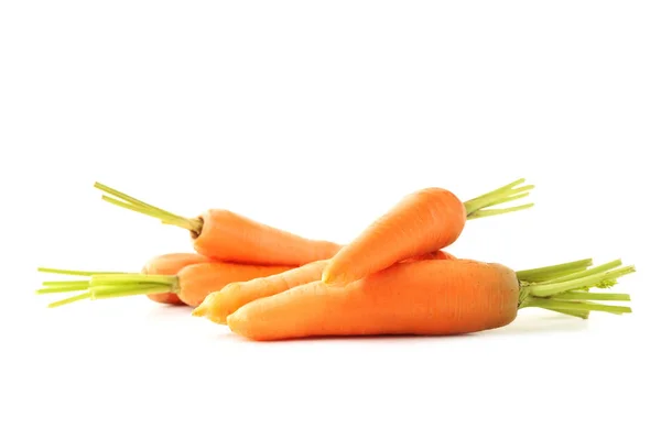 Fresh and ripe carrots — Stock Photo, Image