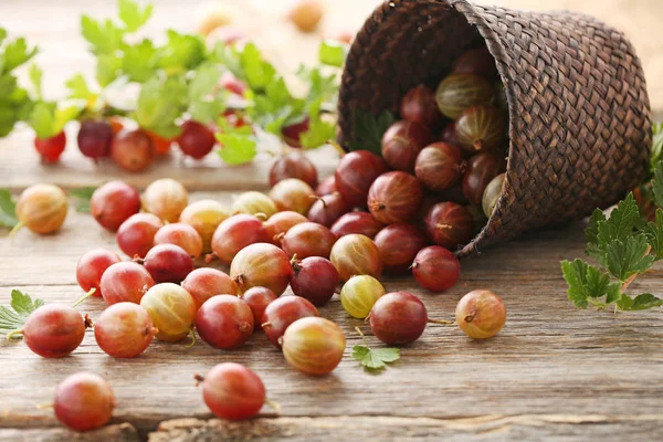 Frutta matura di uva spina in cesto — Foto Stock