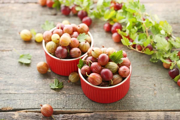 Frutta matura di uva spina in ciotola — Foto Stock