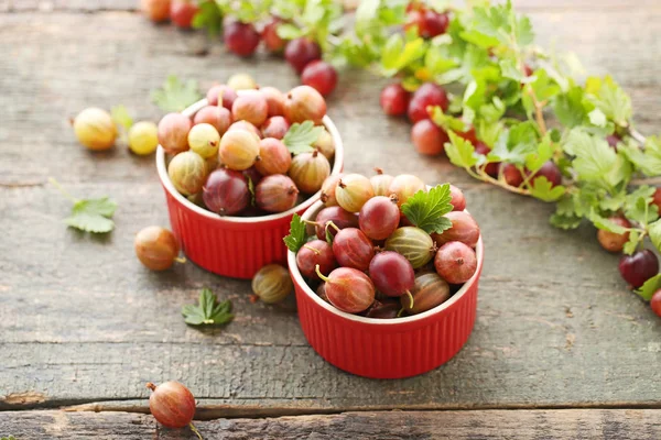 Groselhas maduras fruta na tigela — Fotografia de Stock