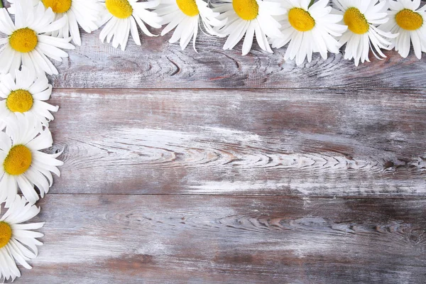 Chamomile flowers on table