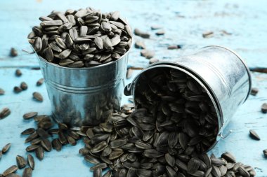 Ayçekirdeği kovalar 