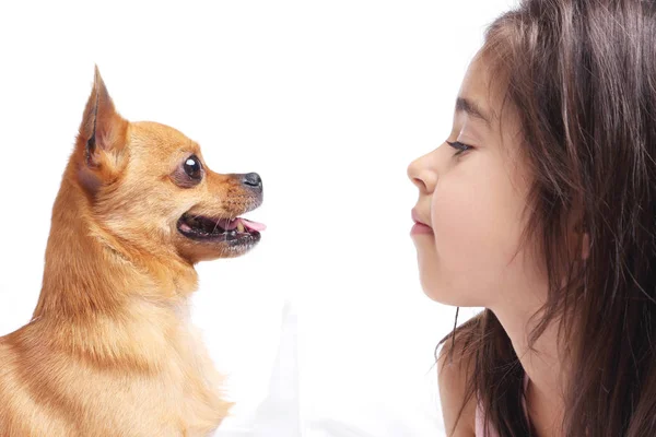 Schönes kleines Mädchen mit süßem Hund — Stockfoto