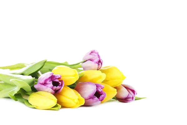 Bouquet of tulips flowers Royalty Free Stock Images
