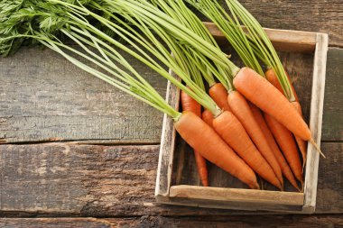 taze ve olgun havuç