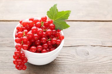 kase kırmızı kuş üzümü  