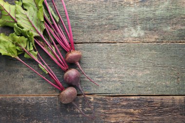 Taze ve olgun pancar 