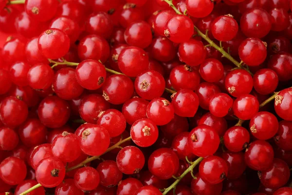 Reife und süße Johannisbeeren — Stockfoto