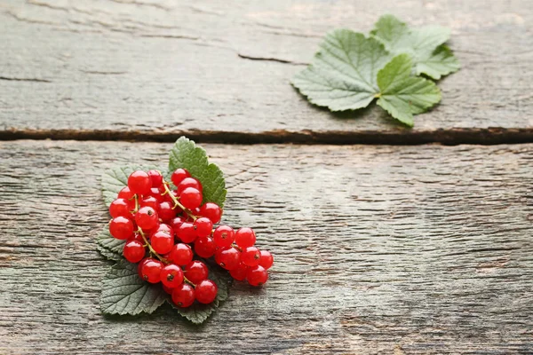 Rote Johannisbeeren mit grünen Blättern — Stockfoto