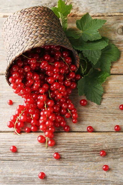 Rote Johannisbeeren im Weidenkorb — Stockfoto