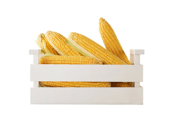 Sweet corns in crate — Stock Photo, Image
