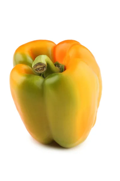 Ripe pepper isolated on white background — Stock Photo, Image