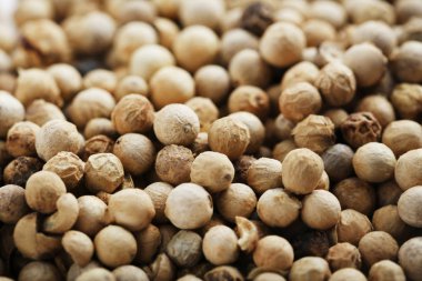 beyaz biber arka plan