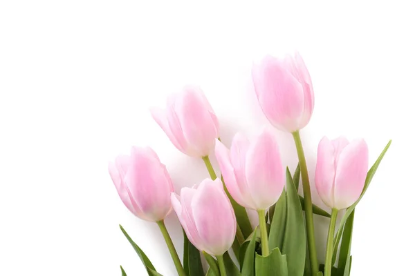 Strauß rosa Tulpen — Stockfoto