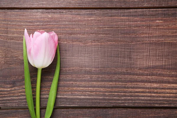 Rosa Tulpe auf braunem Holztisch — Stockfoto