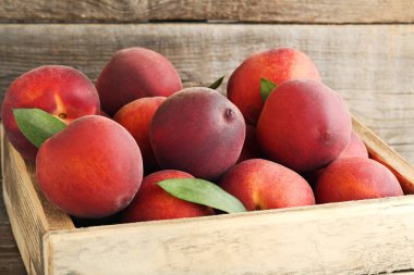 Tatlı nektarin içinde krater  