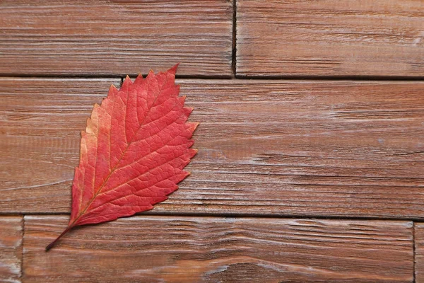 Jesienny liść na drewnianym stole — Zdjęcie stockowe