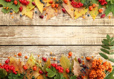 çilek ile sonbahar yaprakları  