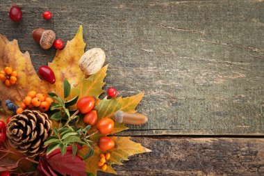 çilek ile sonbahar yaprakları  