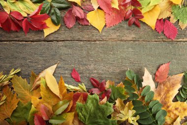 Tahta masada sonbahar yaprakları 