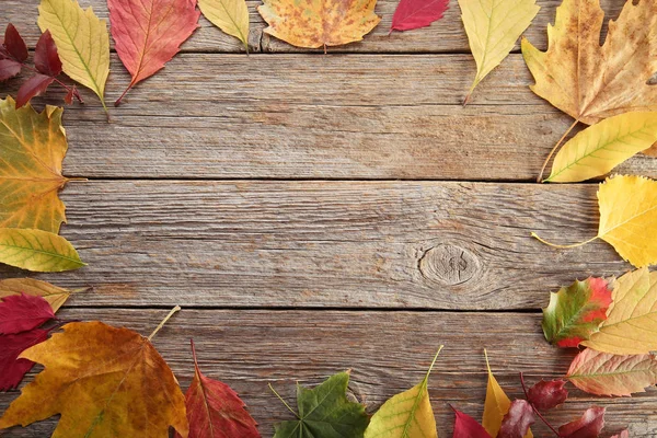 Hojas de otoño sobre mesa de madera — Foto de Stock