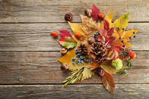 Folhas de outono com bagas — Fotografia de Stock