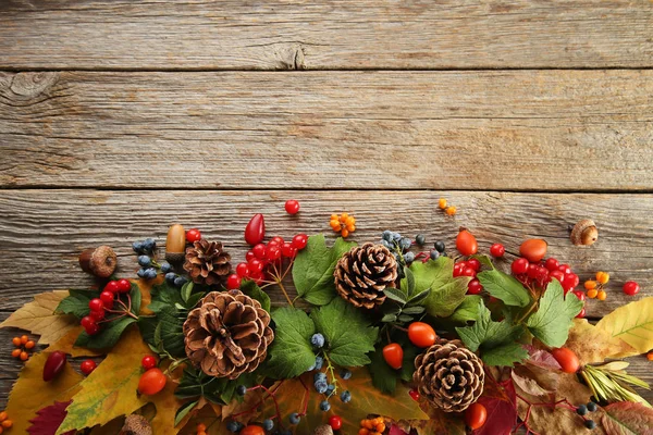 Herfst bladeren met bessen — Stockfoto