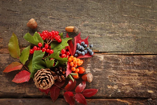 Осенние листья с ягодами — стоковое фото