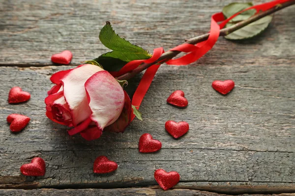 güzel kırmızı gül  