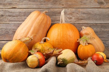 Kuru yaprakları ile turuncu kabak