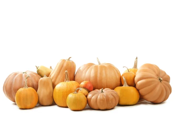 Calabazas naranjas aisladas — Foto de Stock