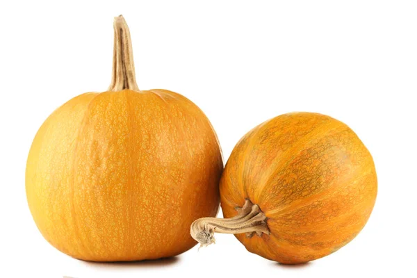 Oranje pompoenen geïsoleerd — Stockfoto