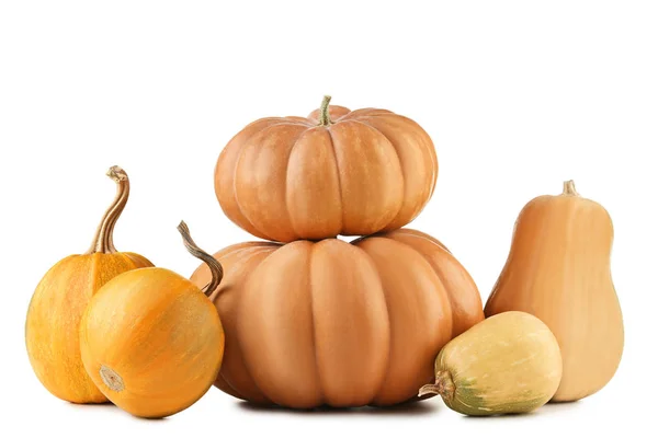 Orange pumpkins isolated — Stock Photo, Image