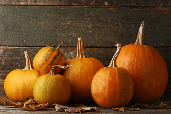 Orange pumpkins with dry leaves — Stock Photo, Image
