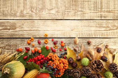 çilek ile sonbahar yaprakları 