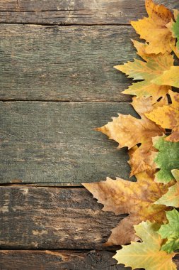 Masaya sonbahar yaprakları