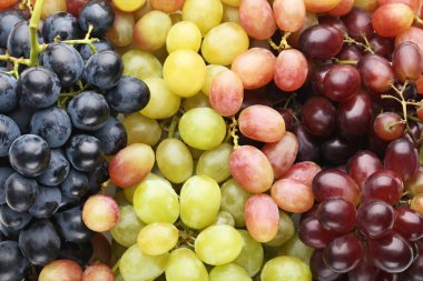 Yeşil, kırmızı ve mavi üzüm